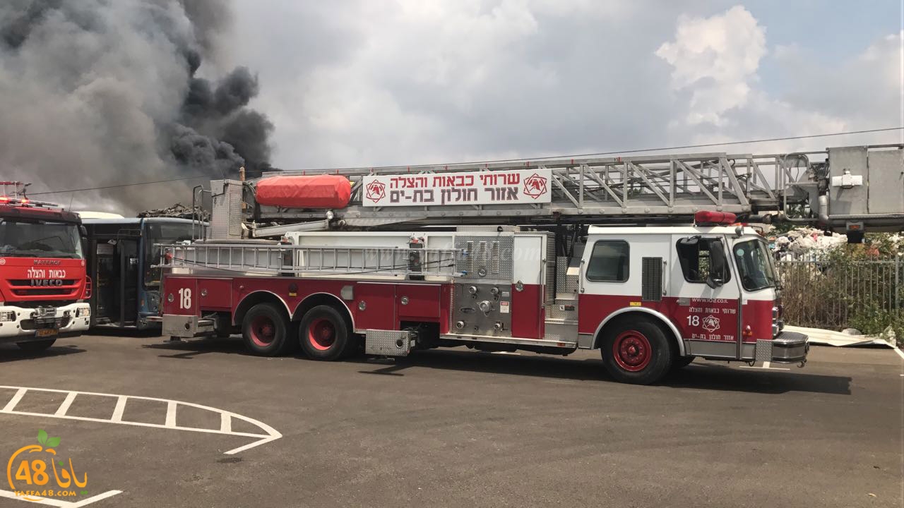 firbus eastyaffa (21).jpg